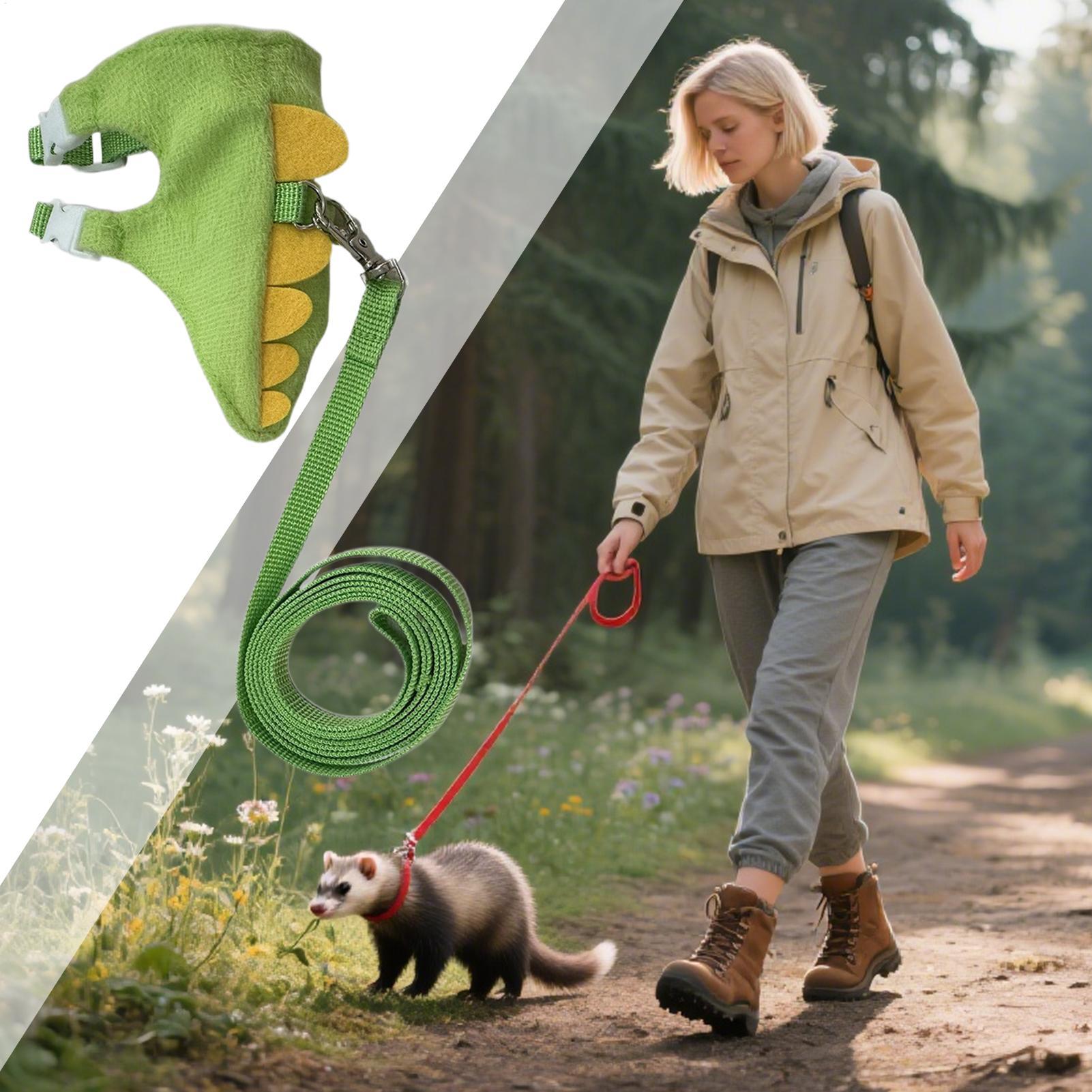 Regulowany zestaw smyczek i pr – Outdoor Adventure Walks recenzja i cena