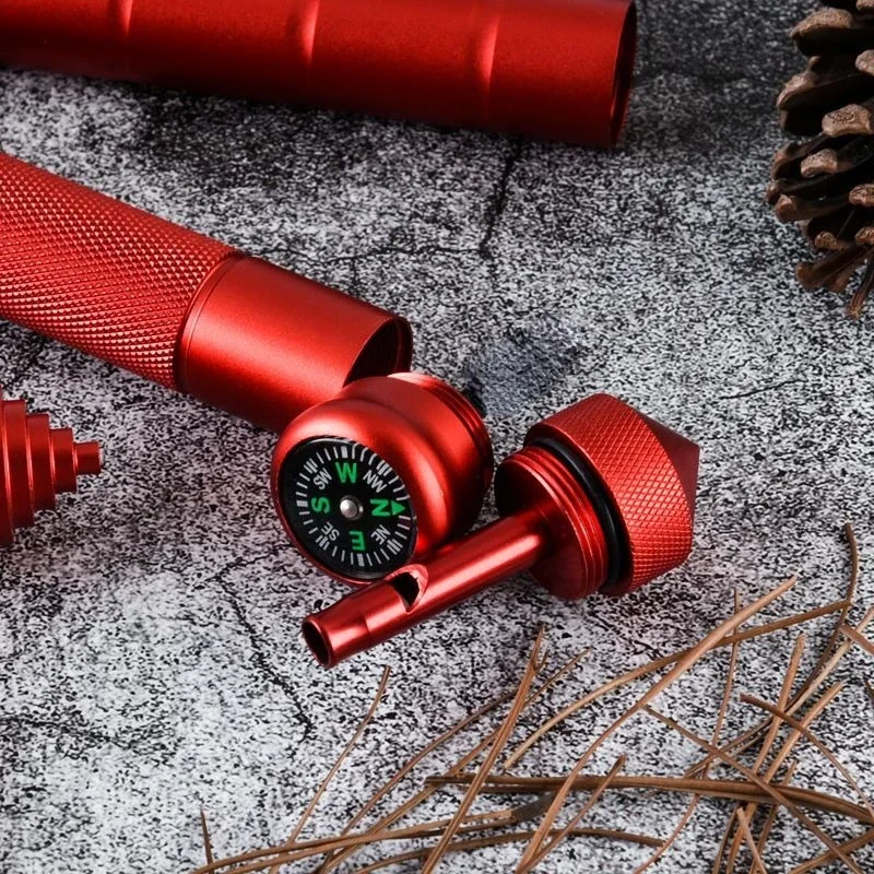 Kompas do kijków trekkingowych – Trekking Pole Carbon recenzja i cena